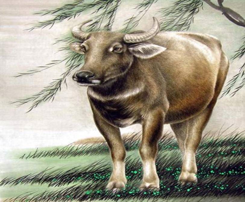 今年有牢狱之灾的属相,属猪人2022 年牢狱之灾