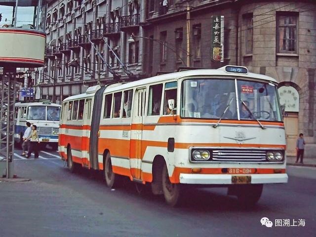 975属兔人交运是什么时候，1975年属兔交运防什么"