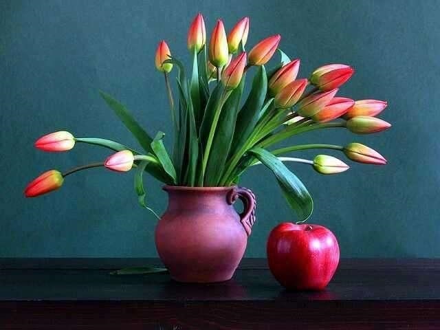 属兔的人33岁为什么不顺，87年属兔的2022 年运势每月