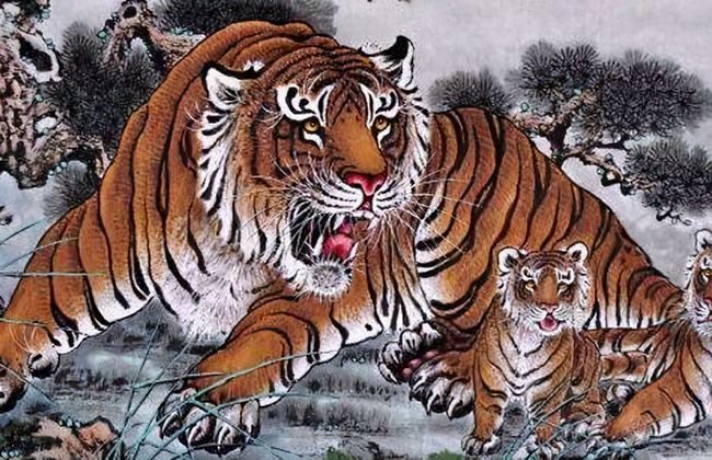 属相虎和兔相克吗,虎和兔在一起对谁不利