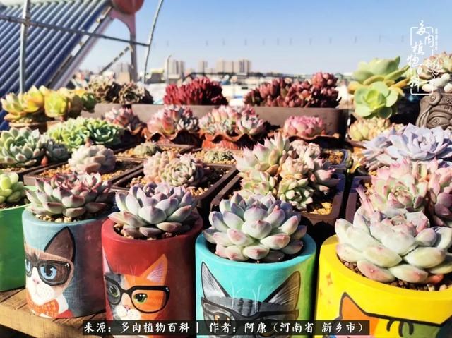 属龙的哪天出生最苦，属龙生在几月最命苦