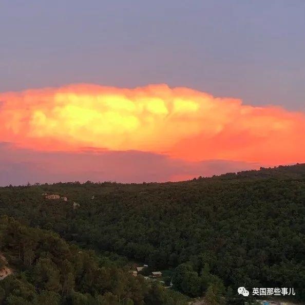 022年兔和牛合拍不,87年属兔34岁2022运势"