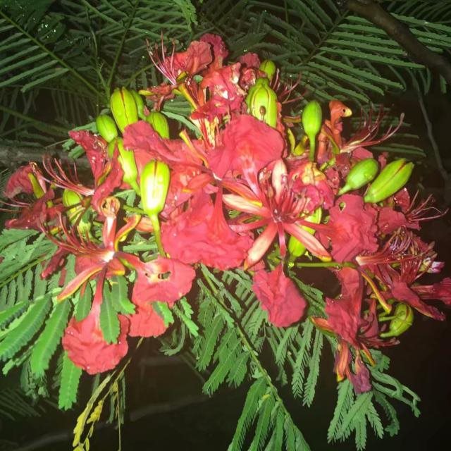 7年和87年兔子的姻缘，87年属兔33岁有一劫"