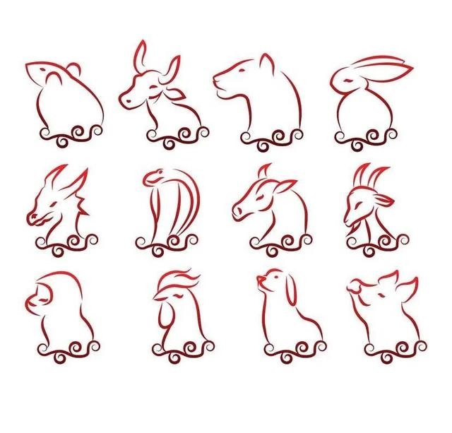 十二生肖的代号和属性，生肖表属性代号