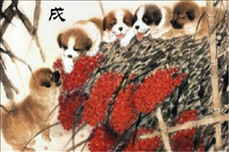 今年狗年运气如何，2022 年属狗人的全年运势