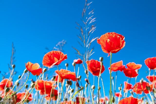 977年属蛇人今日运势，1977年属蛇人2022