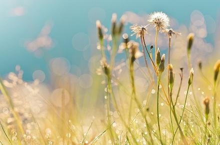 6年的龙今年的运势怎么样，86年虎男2022