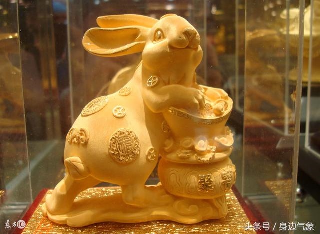 3年属兔能活多少岁，63年属兔2022