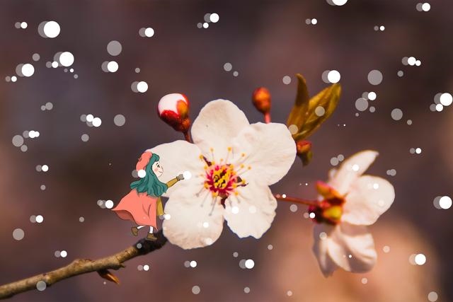 强烈的吸引力是正缘吗，怎么确定是不是正缘