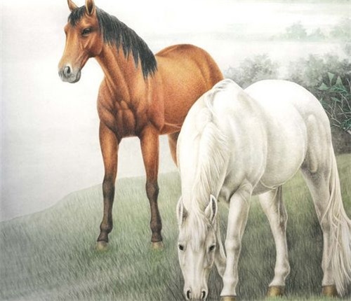 属马女跟属兔男婚姻怎么样，1987男兔1990女马婚姻