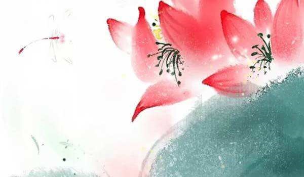 022年属兔是什么命运，2022年属虎的几月出生更好"