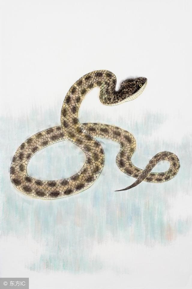 属兔的哪个月出生最不好,1987年属兔是什么命