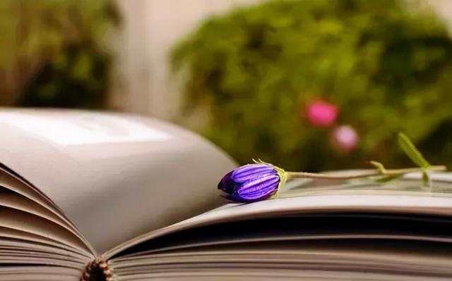 女人双夫命的特征，怎样化解女人的克夫命