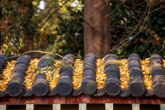 978年属马的婚外情45岁，1990年属马的更佳配偶"