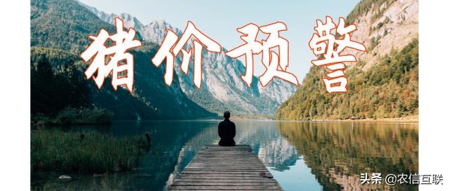 生肖猪2022年下半年运势，2022年几个屠夫共猪