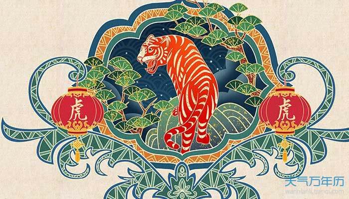 986年出生的人，1986年属虎35岁以后命运"