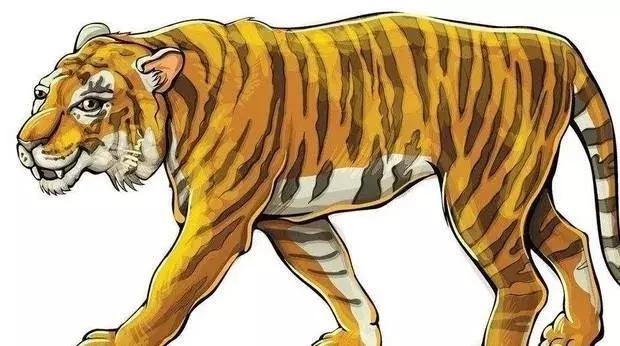 十二生肖的特征及属性，十二生肖最全属性表图