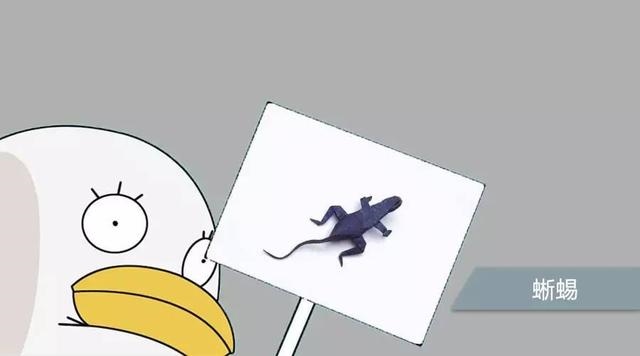 961年5月4日农历出生,1983年11月11日出生的人"