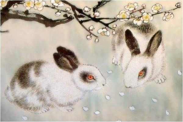 属兔的跟什么相克，属兔和属什么的相克