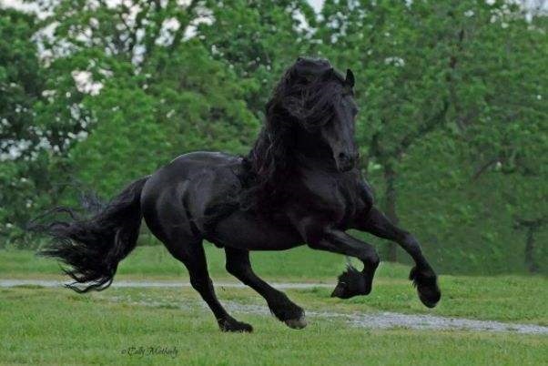 8年属马人今年多大了，1978年属马人2022