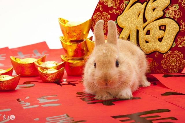生肖兔都有哪些年份出生的，属兔和什么属相最配
