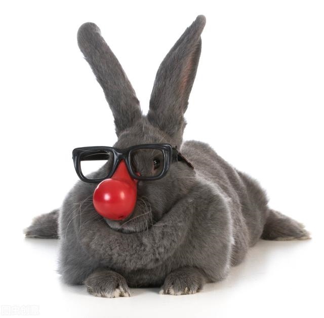 987年兔的寿命有多长，属兔的五大贵人"