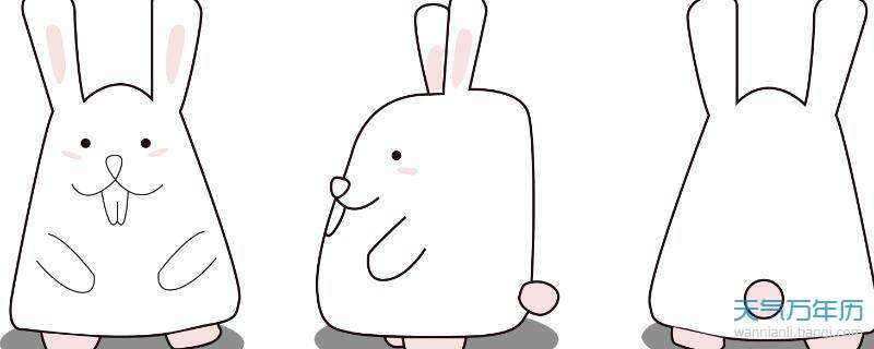 属兔的90后是哪一年的，属兔2022 年运势及运程