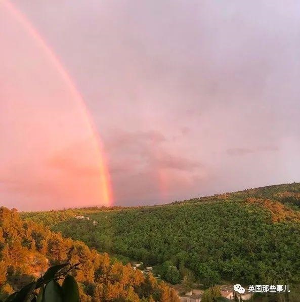 022年兔和牛合拍不,87年属兔34岁2022运势"