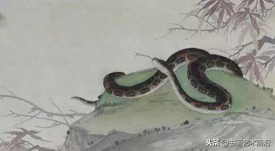 今年属蛇人的运势怎么样，属蛇的人今天的财运如何