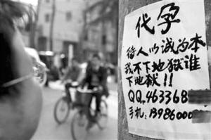 呗呗兔为啥离婚，呗呗兔干啥的家里那么有钱