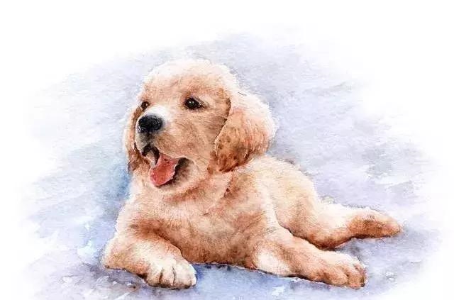 7年属兔后半生的命运，87属兔二次婚姻在几岁"