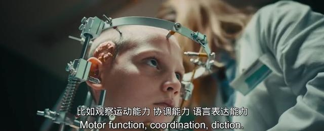 命有麒麟骨不会做凡人，麒麟王秦骨小说