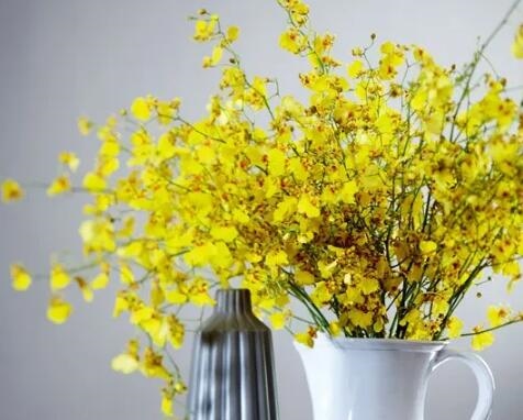 如何查自己的财运方位，八字财位查法