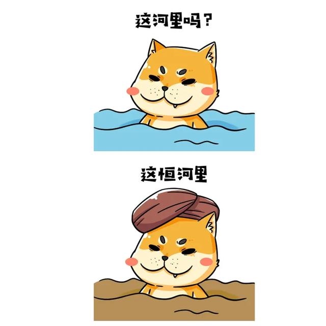 猪和兔相差4岁合不合财，猪和兔相差4岁合不合