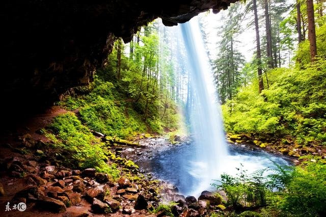 属狗的明年财运怎么样，明年属狗的是什么样命运