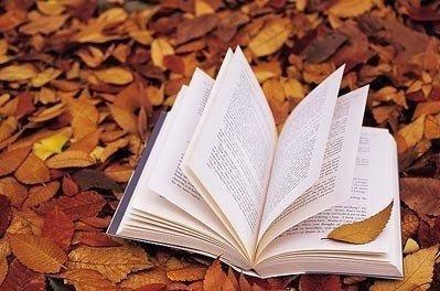 水性杨花的三大生肖女数字，杨花属于什么生肖