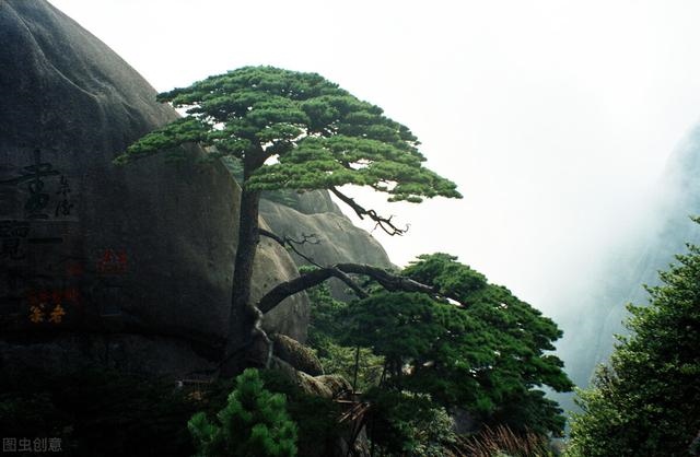 为什么要让 看到预言，南怀瑾预言中国