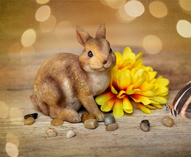 属兔的和属啥的比较合适,1975属兔45岁以后运气