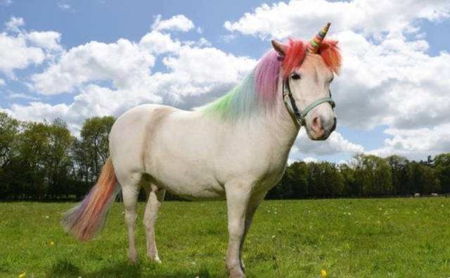 0后属马是哪一年，60几岁属马的是几几年的"