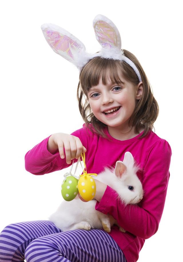 属兔人婚姻今年状况，婚姻配对表属相