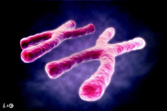 祸害婚配如何化解，上中下三等婚姻查询表