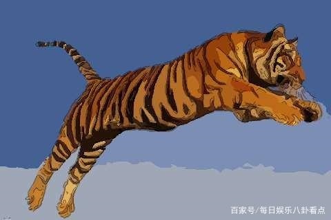 1年属虎的今年多大，属虎的今年多大了2022"