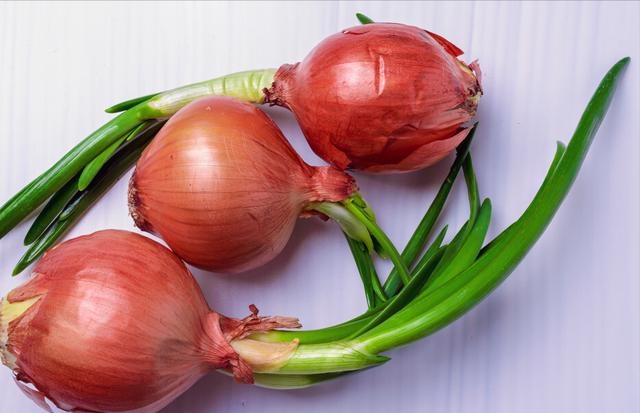 生肖狗和什么生肖最不能配，生肖狗和什么生肖配