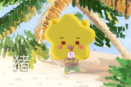 1年属猪49岁什么命，1996年属鼠女是什么命"