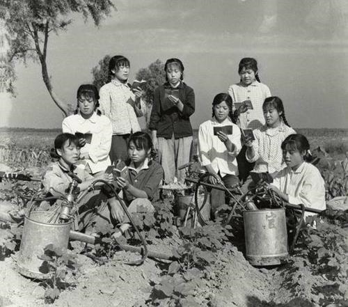 男猴女兔结婚好不好，男猴女兔婚配表大全