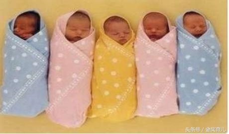 日历查怀孕男女月份,输入怀孕月份算男女