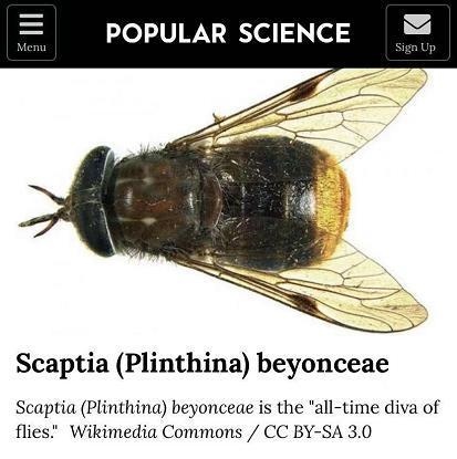 999属兔更佳结婚对象男，属龙男和什么属相最配"