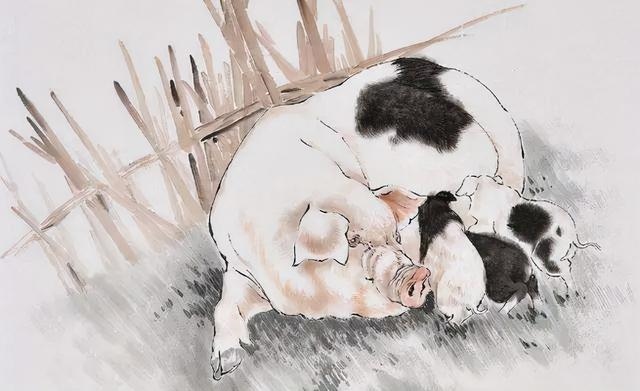 属马之人五行缺什么，属马金命缺什么