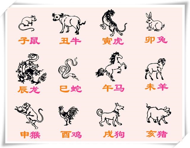 十二生肖属性排列，十二生肖排序表图片2022