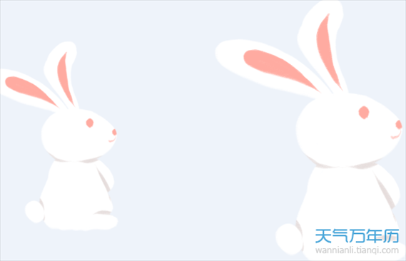 未来三年属兔人的全年运势，1987年属兔人2022 年运势运程